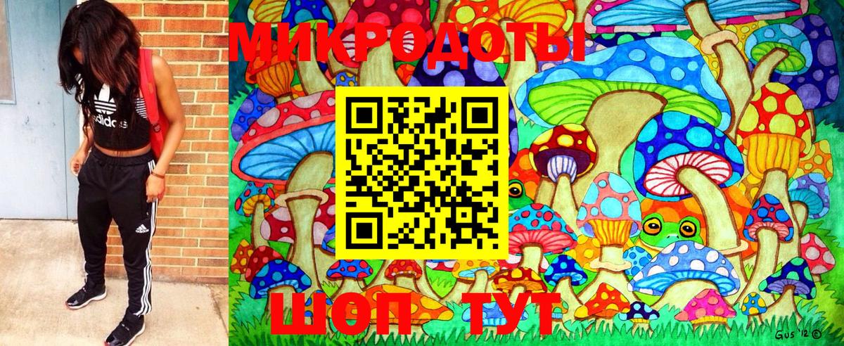 Алатырь  Галлюциногенные грибы прущие грибы  Вход с VPN 